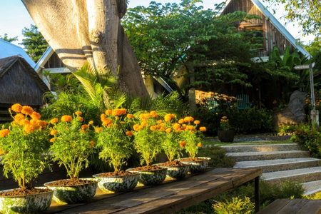 Chanteak Bali - Stone House 2, Jimbaran, Indonesia