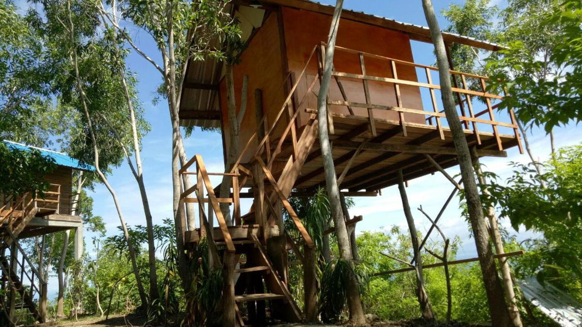 Rumah Pohon, Indonesia