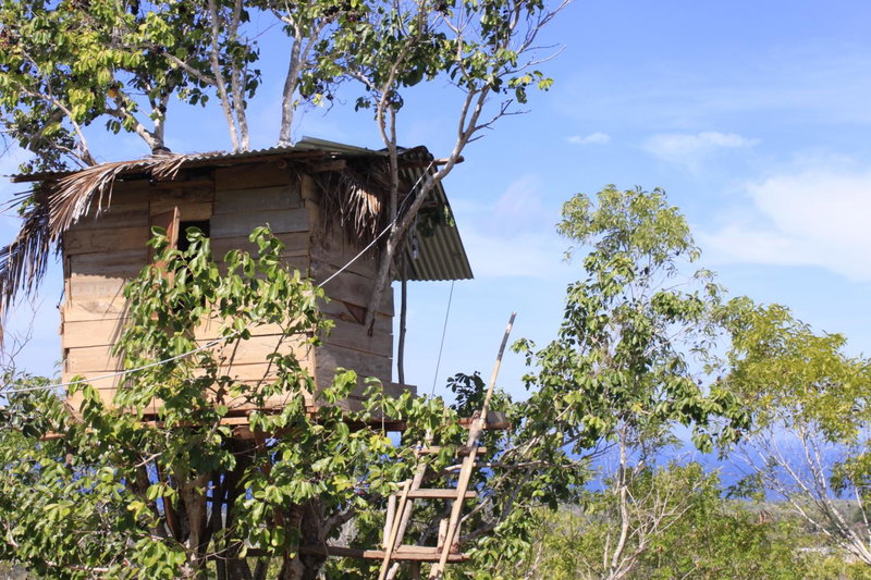 Rumah Pohon, Nusa Penida, Indonesia