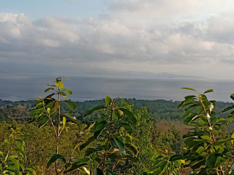 Rumah Pohon, Nusa Penida, Indonesia
