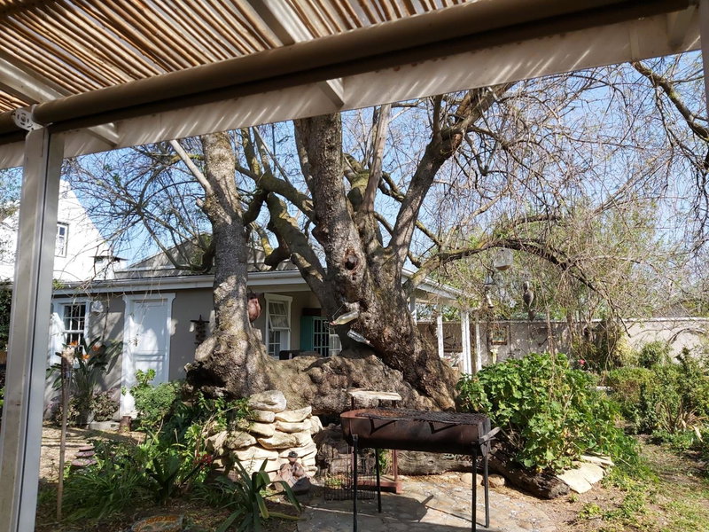 Rhus Cottage., Stanford, South Africa