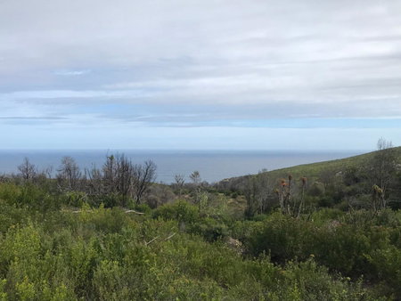 Trinity Farm Ocean view Cottage, Plettenberg Bay, South Africa