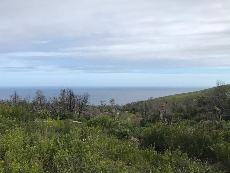 Trinity Farm Ocean view Cottage, Plettenberg Bay, South Africa