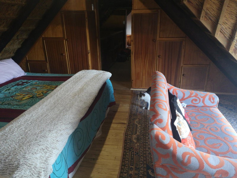Chilli Moon B&B, Stilbaai, South Africa