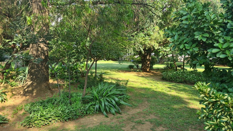 Silken Trap Accommodation NO LOADSHEDDING, Johannesburg, South Africa