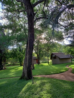 Shumba Safari Bush Camp, Hoedspruit, South Africa