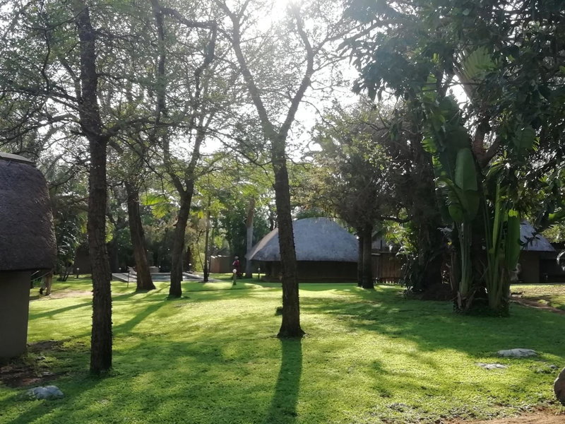 Shumba Safari Bush Camp, Hoedspruit, South Africa