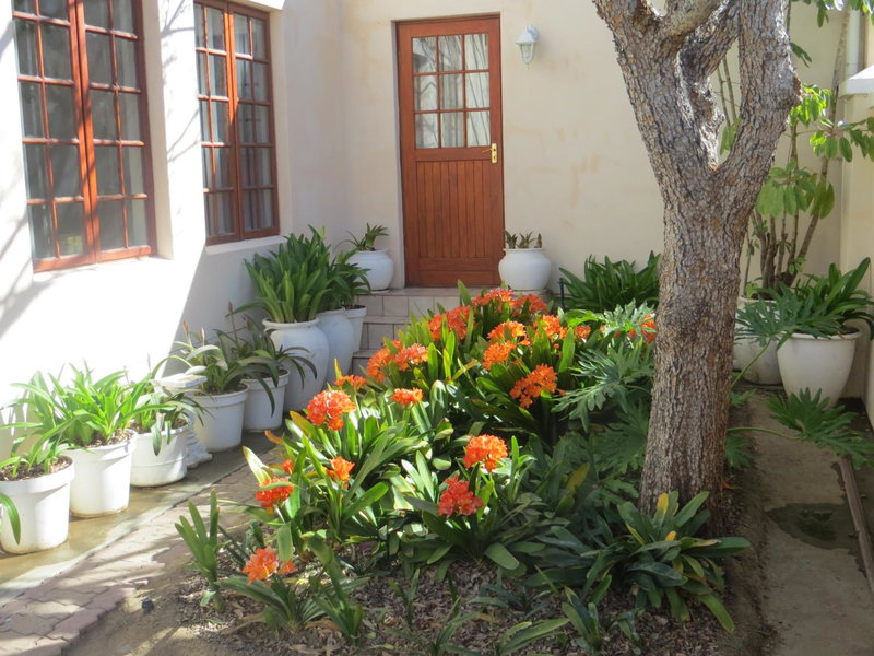 Bougain Villa Guesthouse, Prince Albert, South Africa