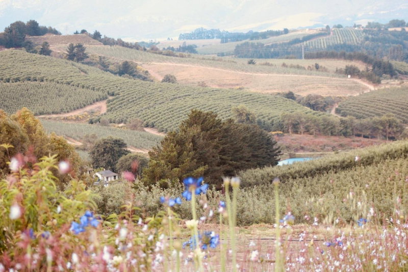 Cheverells Farm, Kiku & Braeburn Cottage, Grabouw, South Africa