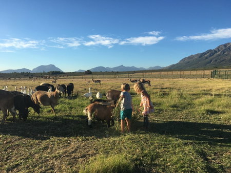 Witzenberg Guest Farm, Wolseley, South Africa