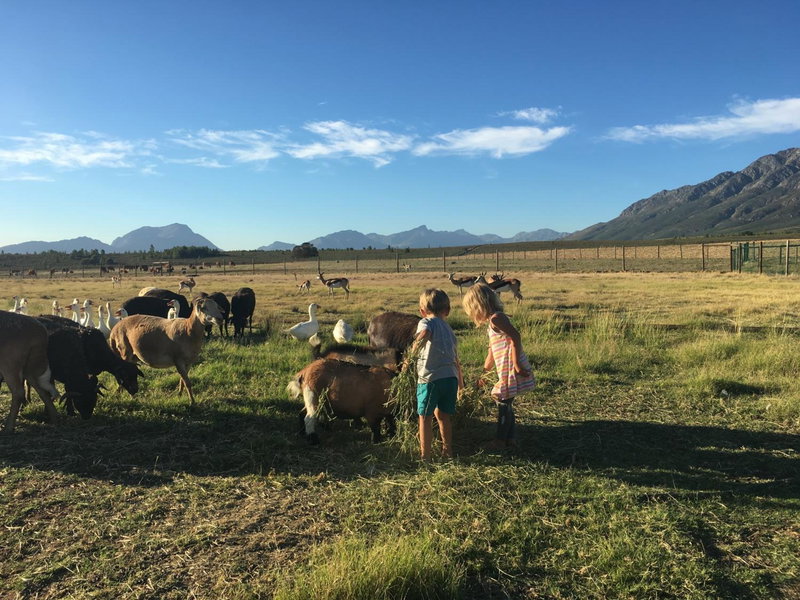 Witzenberg Guest Farm, Wolseley, South Africa