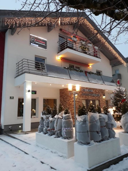 Appartement Fortuna with air conditioning, Saalfelden am Steinernen Meer, Austria