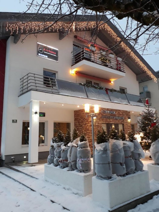 Appartement Fortuna with air conditioning, Saalfelden am Steinernen Meer, Austria