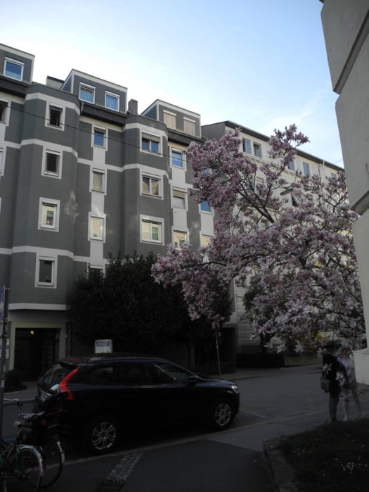 Grazer Spatz, Graz, Austria