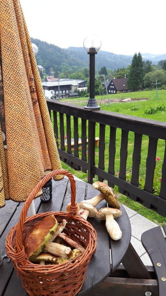 Horská chata Hubert, Bedřichov, Czechia