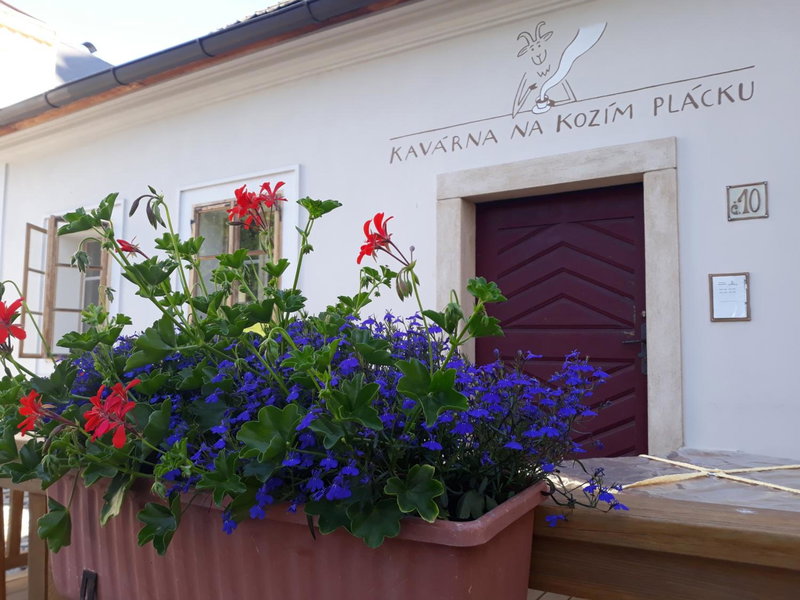 Café Kozí plácek, Kutná Hora, Czechia