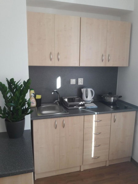 Apartmány Lípa, Tábor, Czechia