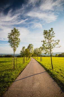 Turnovská chata, Kořenov, Czechia