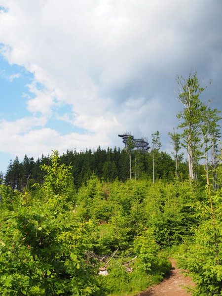 Apartmán NA SVAHU 3+KK, Dolní Morava, Dolní Morava, Czechia
