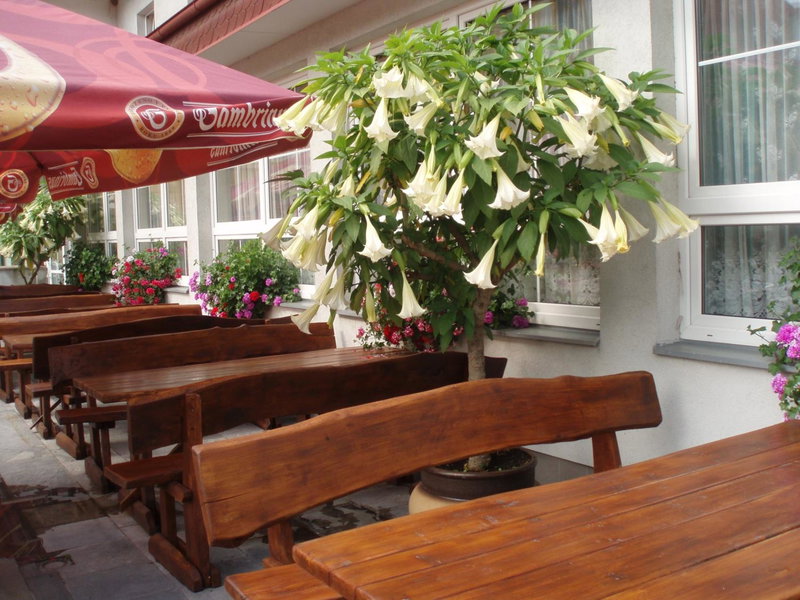 Hotel Alf, Borovany, Czechia