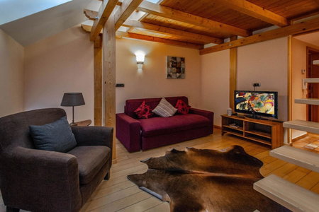 Olives Ruterra Loft with Sauna, Prague, Czechia
