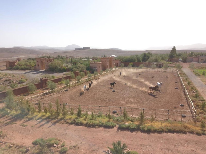 Dar Alfourssane Ferme d’hôte, Ouarzazate, Morocco