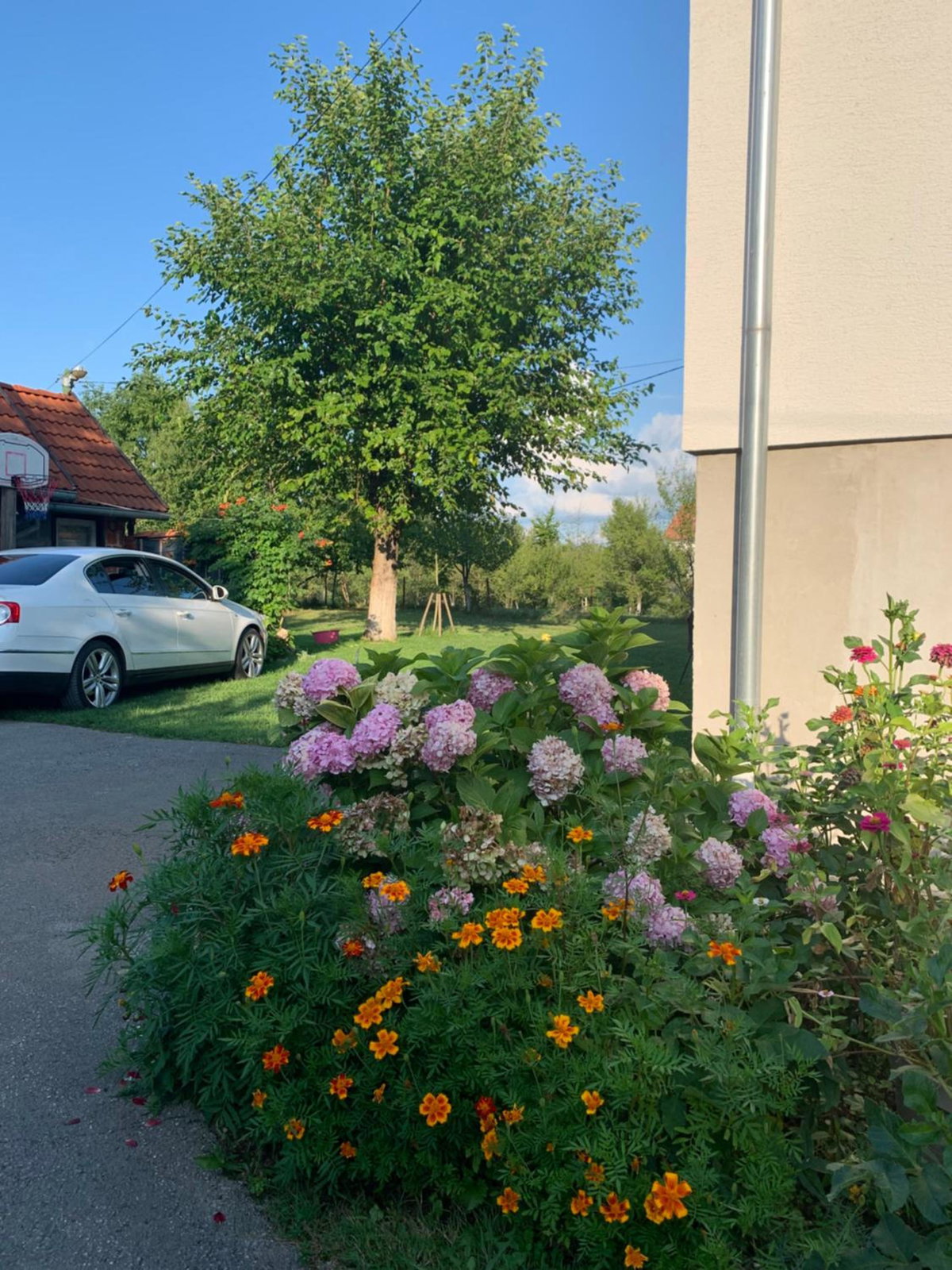 Apartman MAURO, Croatia