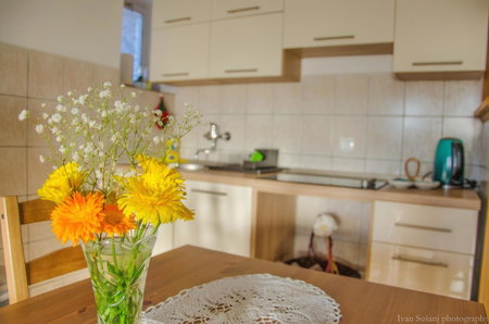 Apartment Rašće, Ogulin, Croatia