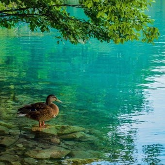 Plitvice Fairytale, Plitvička Jezera, Croatia