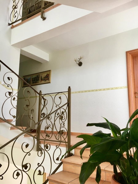 Casa Veronica, Baile Felix, Romania
