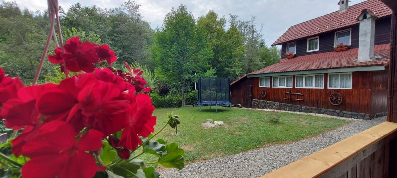 La cabana bunicului, Sibiu, Romania