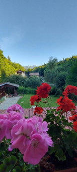 La cabana bunicului, Sibiu, Romania