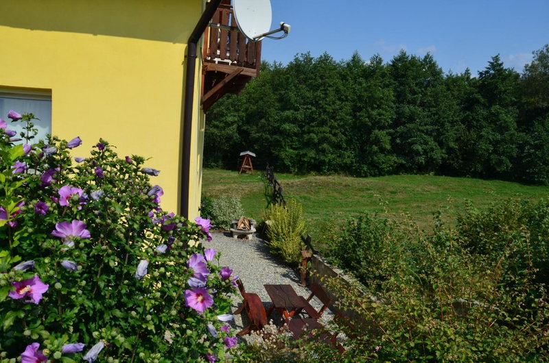 Pensiunea Arpasel, Arpaşu de Sus, Romania