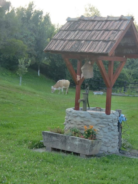Pensiunea Arpasel, Arpaşu de Sus, Romania