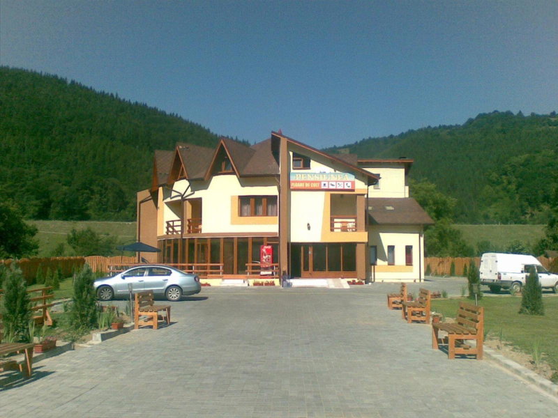 Pensiunea Floare de Colţ, Dragoslavele, Romania