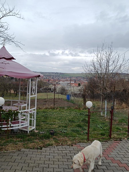 Casa Tonyza, Cisnădie, Romania