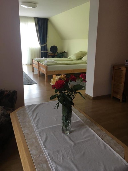 Casa Bis, Sibiu, Romania