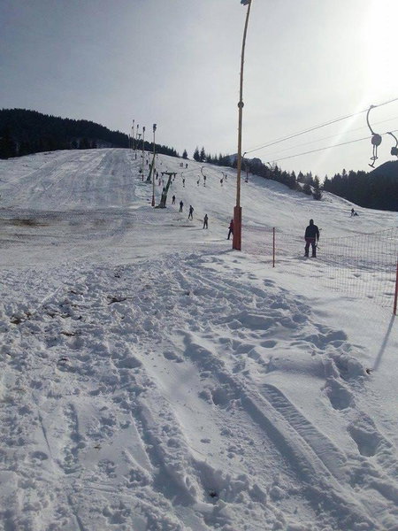 Vila Poarta Bucegilor, Bran, Romania