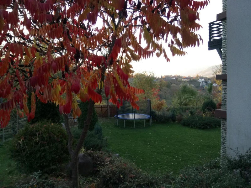 Vila Poarta Bucegilor, Bran, Romania