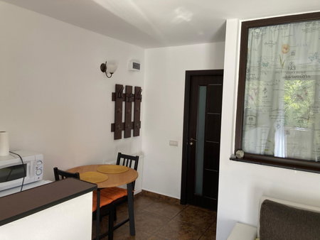 Ski View Studio - near the ski slopes, Azuga, Romania