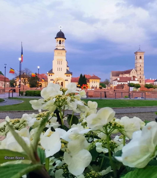 Boulevard Flat, Alba Iulia, Romania