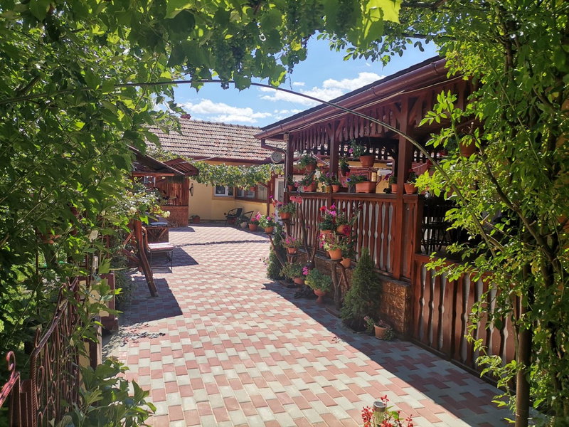 Casa Dana, Haţeg, Romania