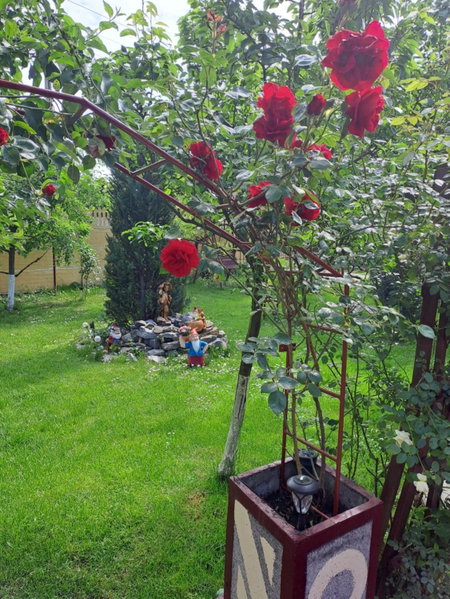 Casa Dana, Haţeg, Romania