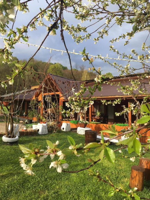 Lângă Stână, Curtea de Argeş, Romania