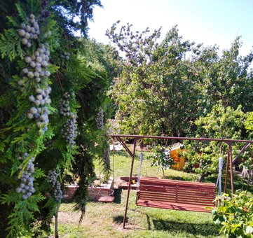 Szemi ház, Sárvár, Hungary