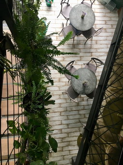 Hotel Carriqui, Pereira, Colombia