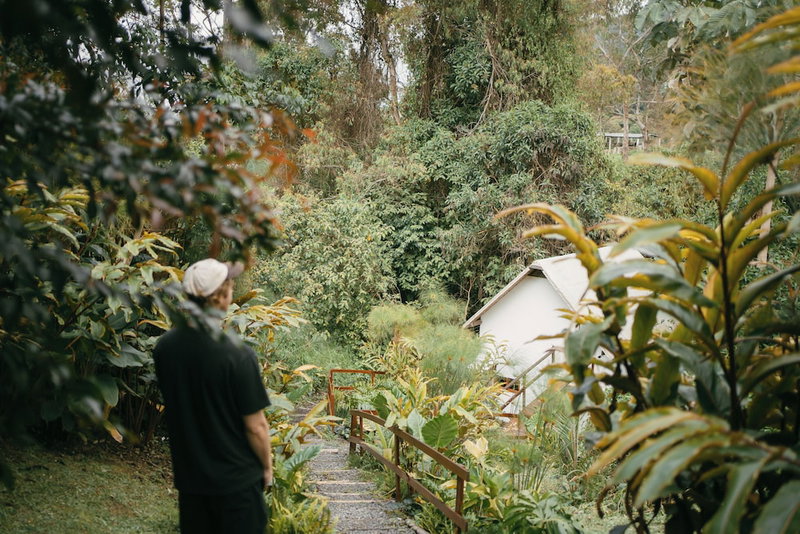 Glamping Lumbre, Salento, Colombia