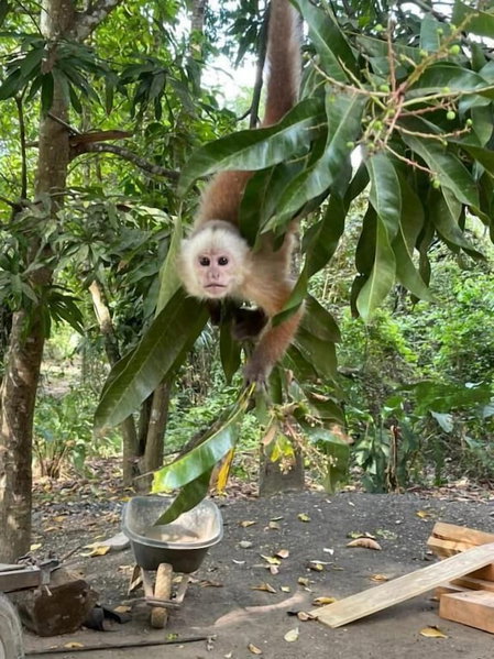 Kawabonga Hostel, Dibulla, Colombia