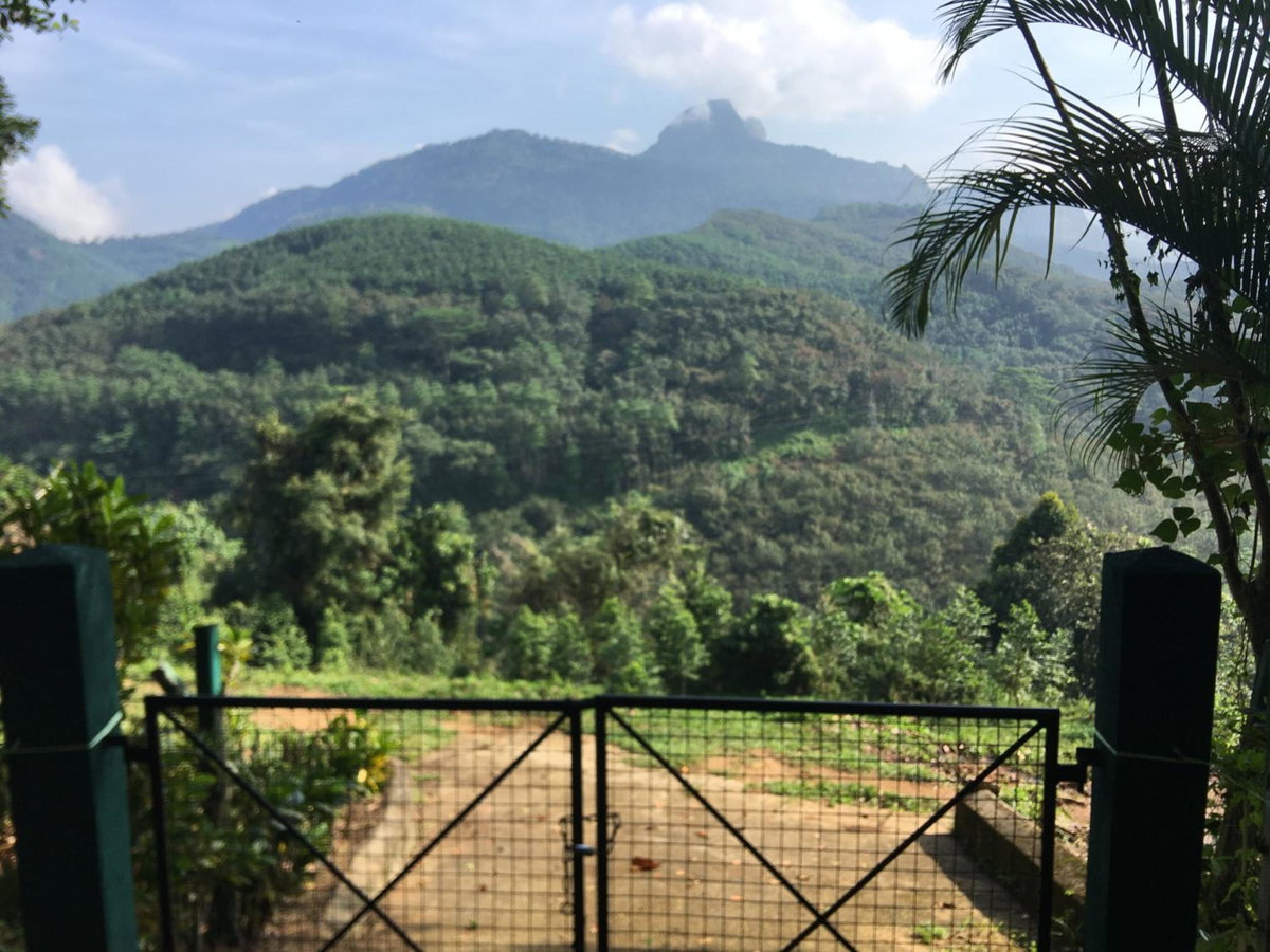Hotel · Bracedale Estate, Kegalle