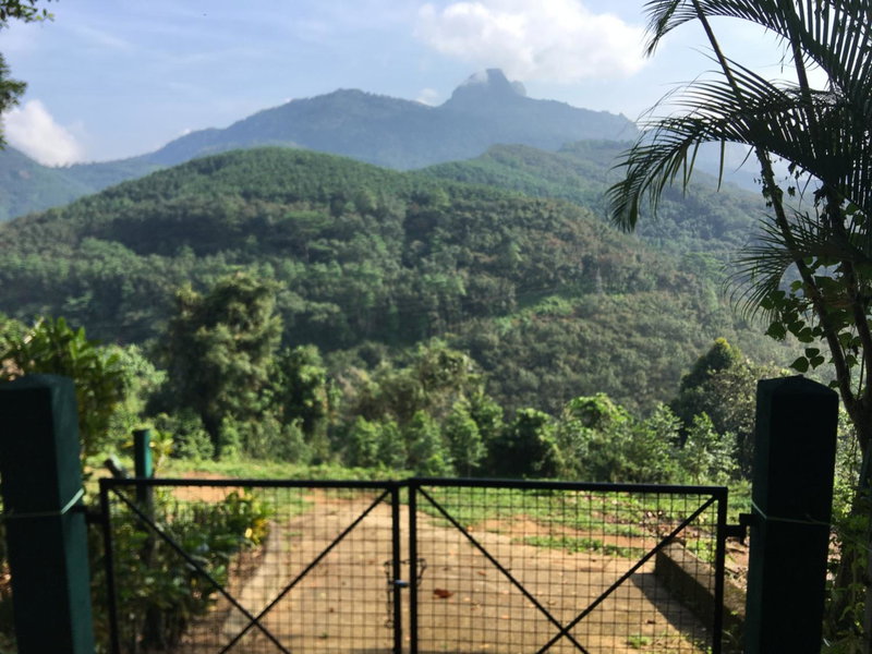 Bracedale Estate, Kegalle, Sri Lanka